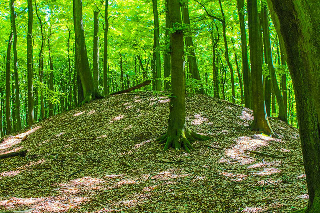 Hügelgrab im Nationalpark Jasmund