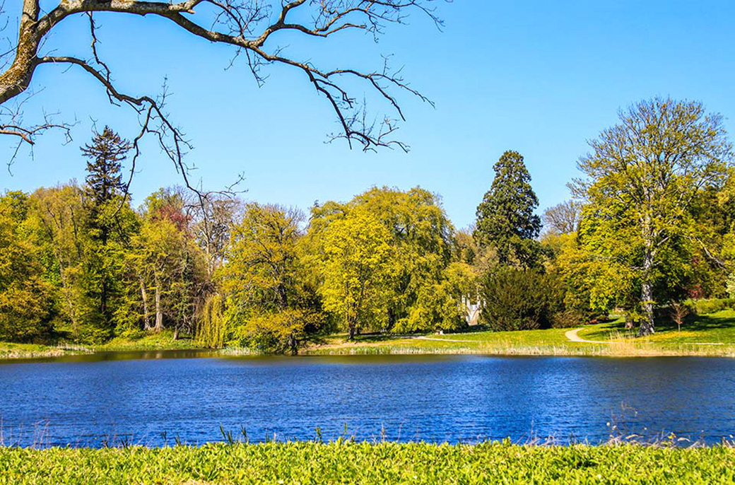 Blick über den Schloßteich