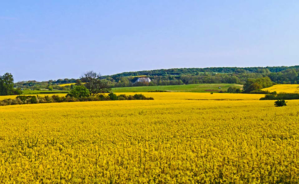 Blick auf den weithin sichtbaren alten Kreidebruch